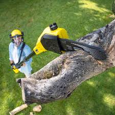  , USA Tree Services Pros